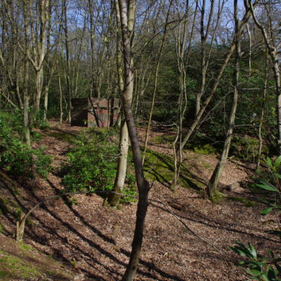Looking North towards the hut.