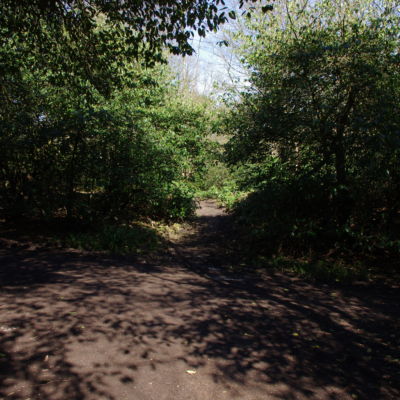 The entrance to the fields. Across the main track and opposite the site entrance. 